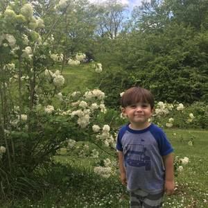 Meet your Posher, Annette michael